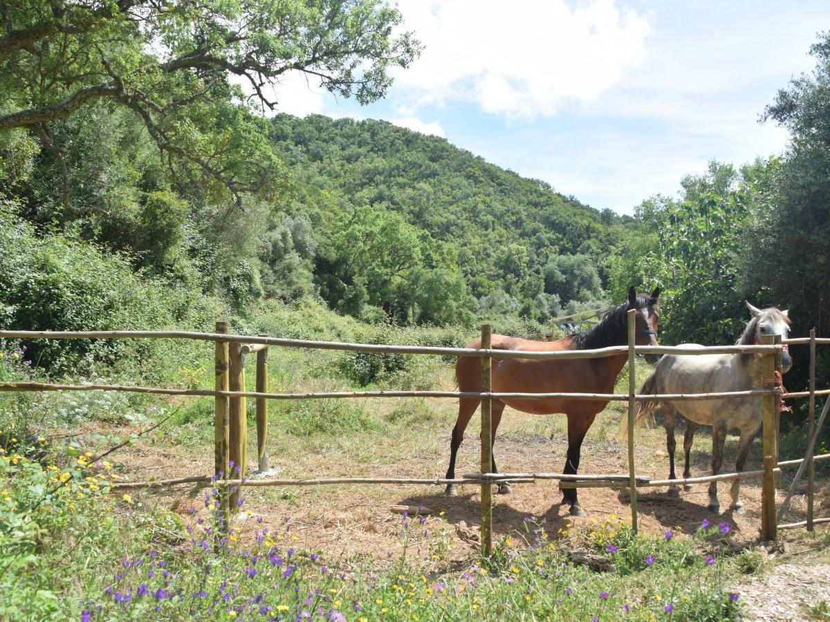 Quiet And Cottage In The Estate Casas Da Cerca Troviscais Exterior photo